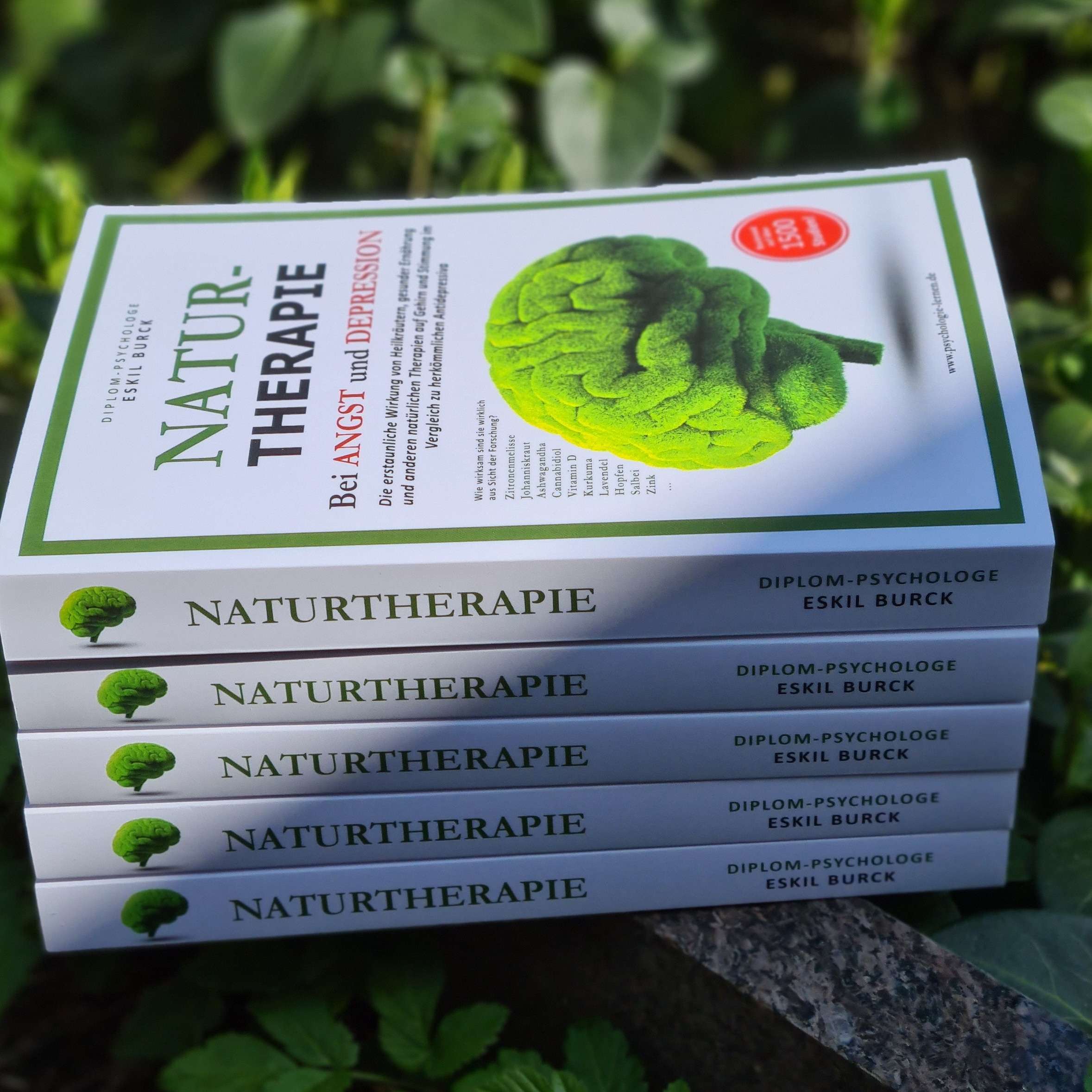 Buch_naturtherapie