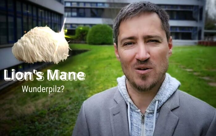 Lion's Mane: LIMITLESS-HIRNDOPING oder GELDVERSCHWENDUNG? – NEUE STUDIE!